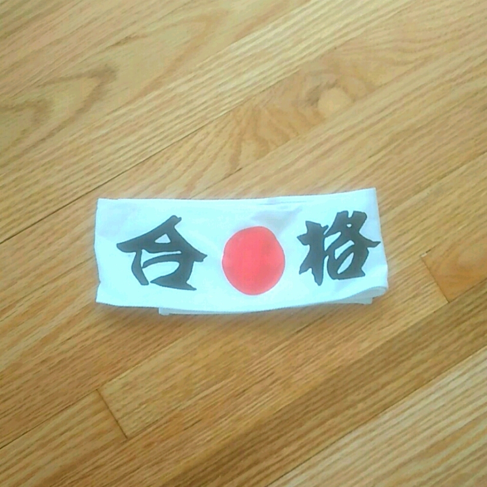 Karate Kid Headband ArmBand